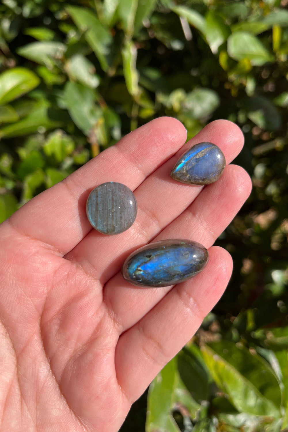 Labradorite Cabochon