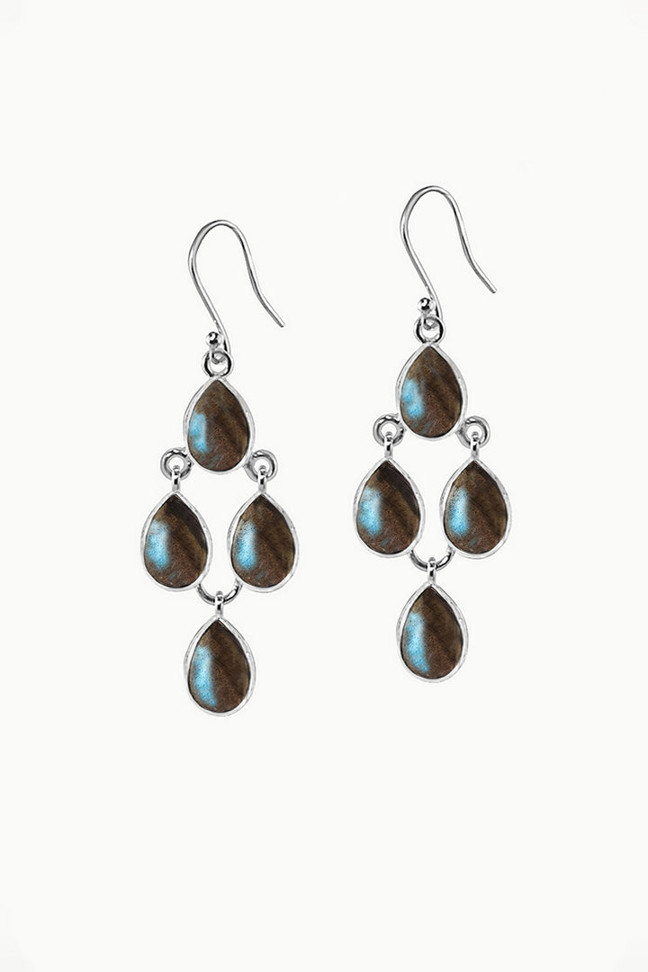 Sivalya Labradorite Dangle Earrings - Dew Drops