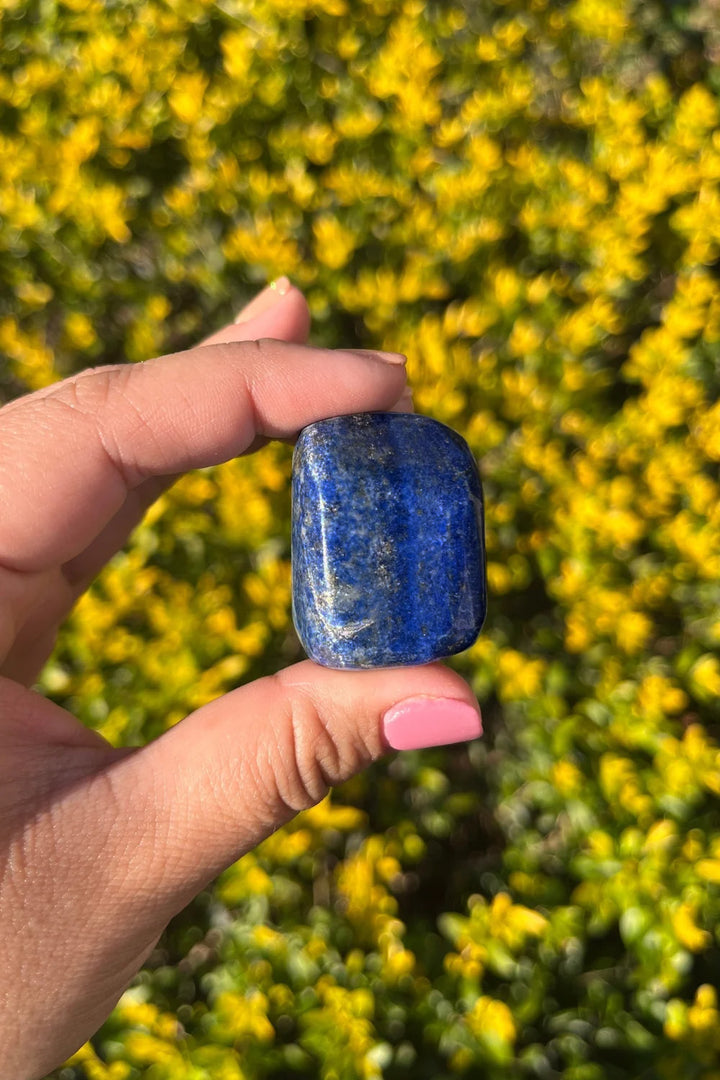 Lapis Lazuli Tumbles