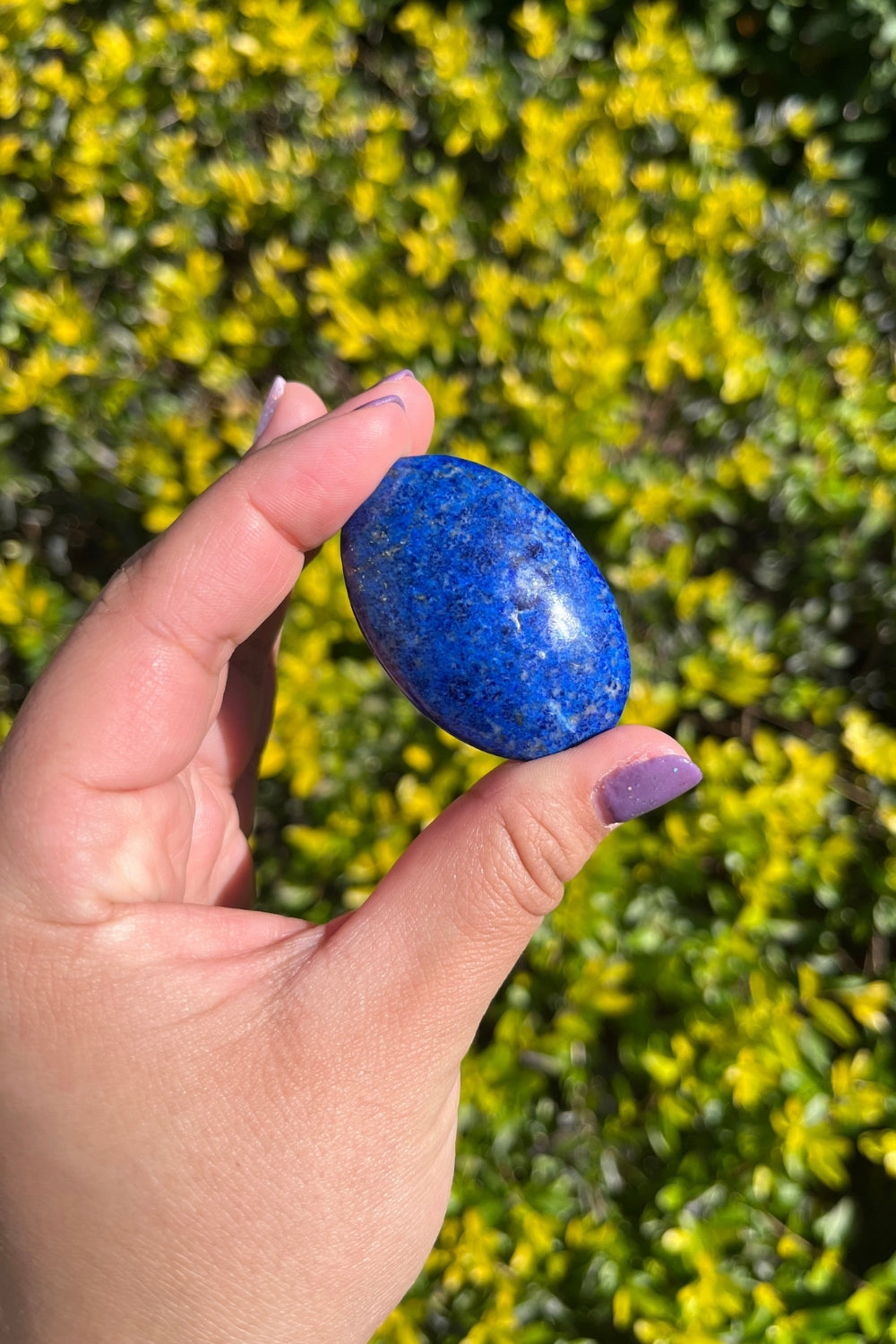 Lapis Lazuli Palm Stone #1 - Rare Find