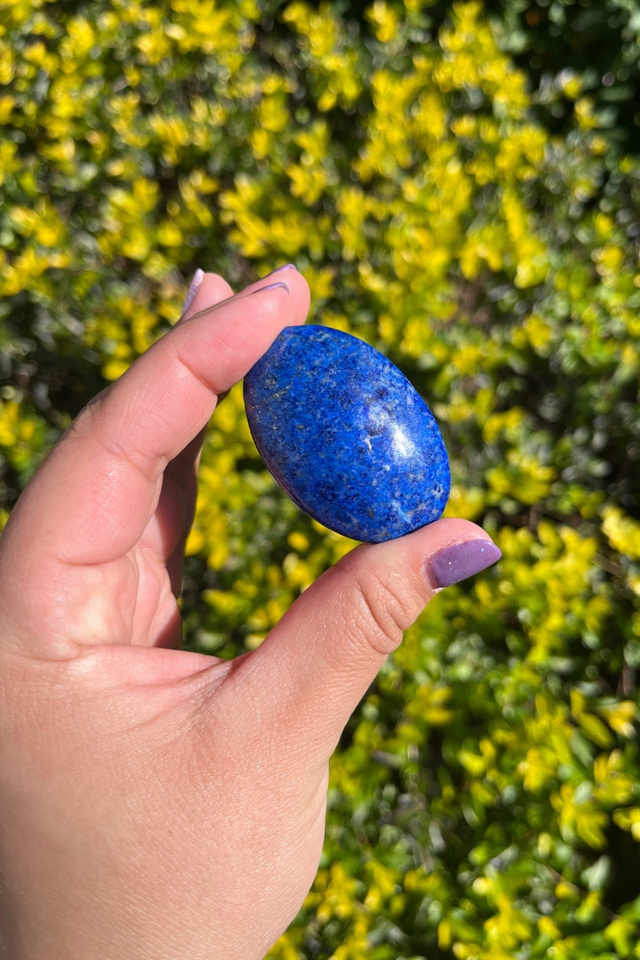 Lapis Lazuli Palm Stone #1 - Rare Find