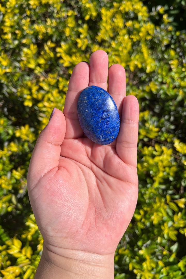 Lapis Lazuli Palm Stone #1 - Rare Find