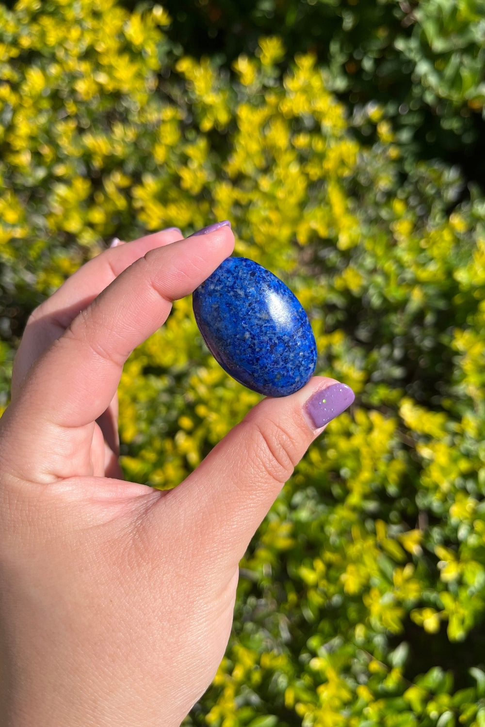 Lapis Lazuli Palm Stone #2 Rare Find