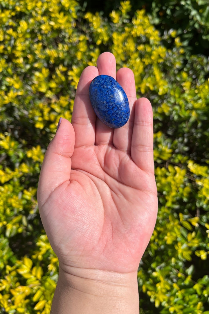 Lapis Lazuli Palm Stone #2 Rare Find