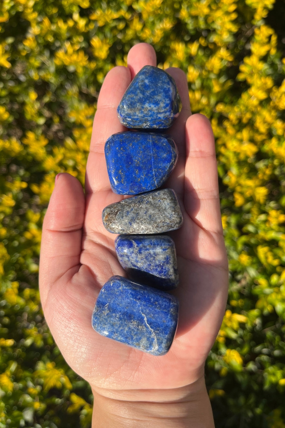 Lapis Lazuli Tumbles