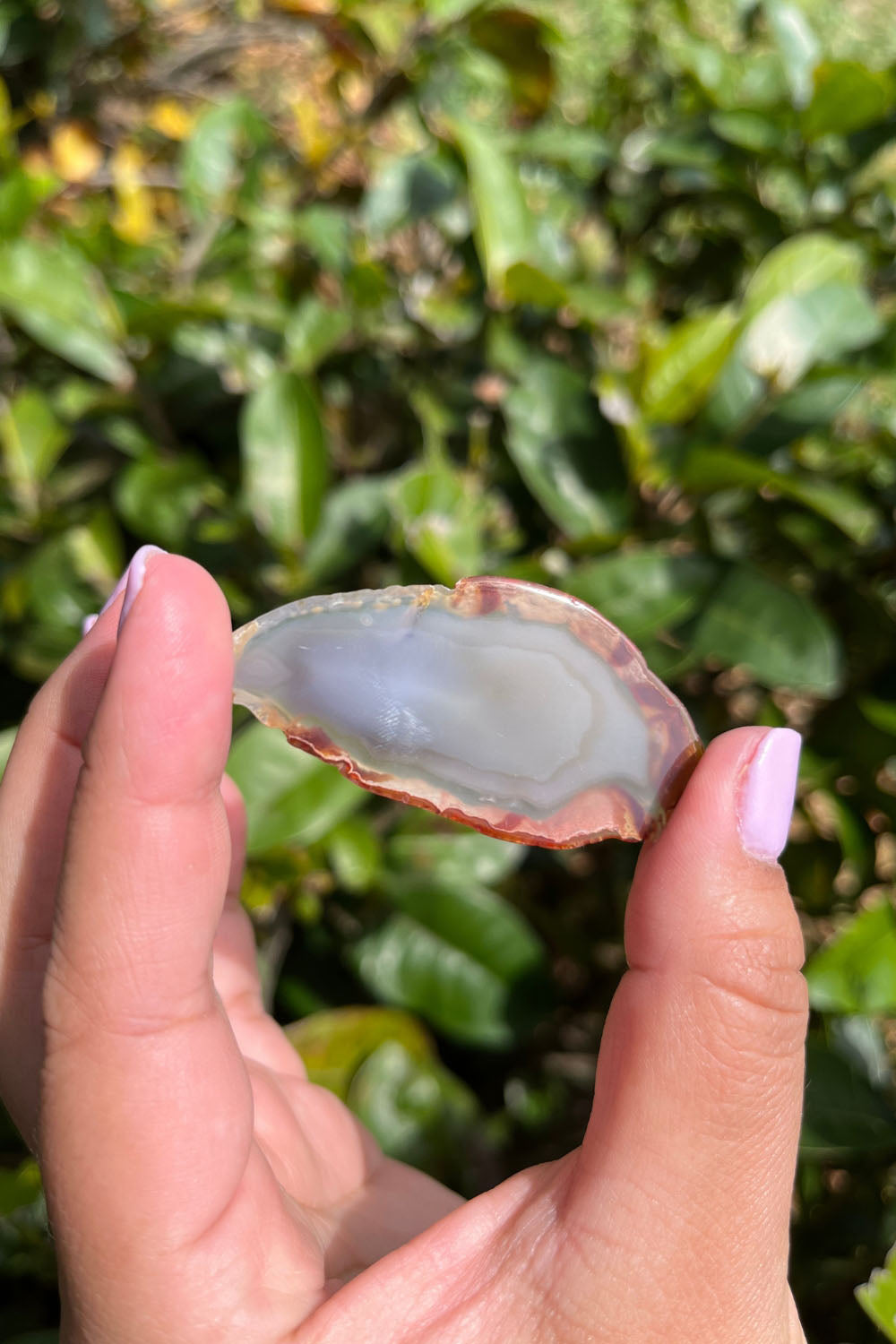 Agate Slices Freeform