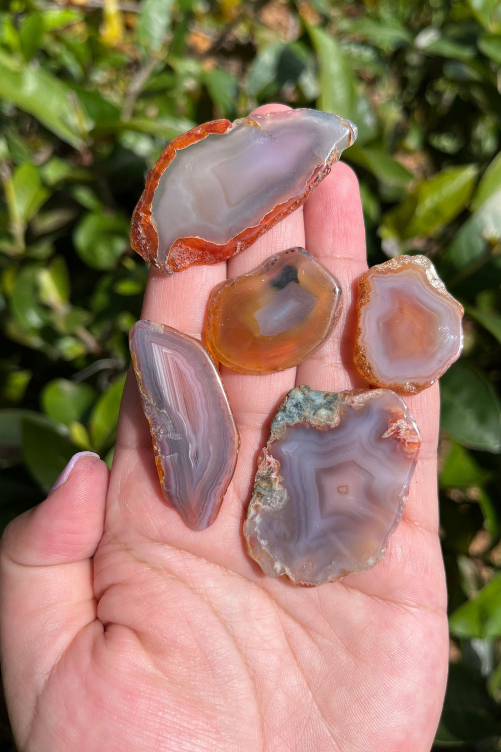 Agate Slices Freeform