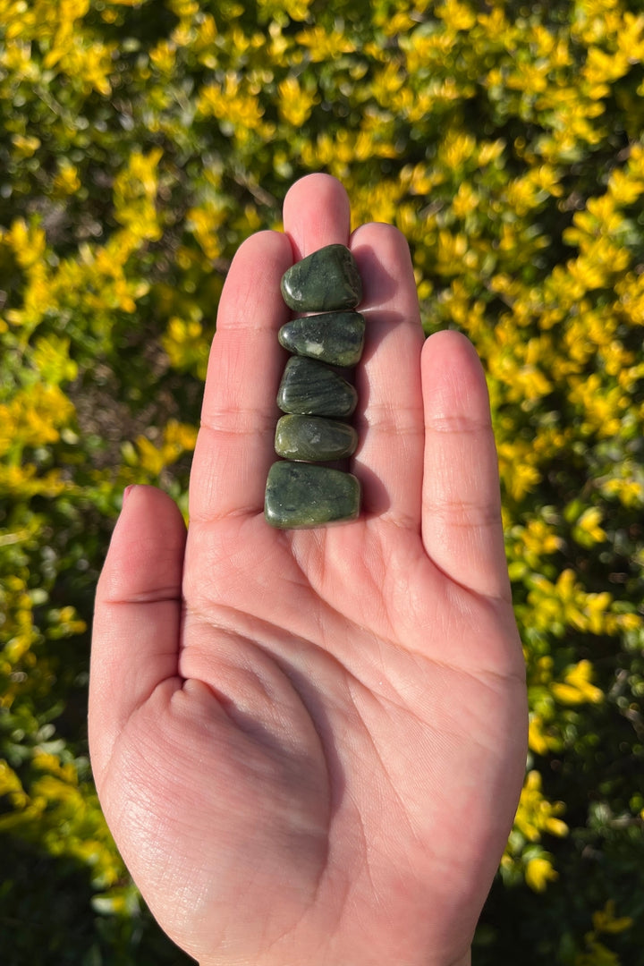 Moss Agate Tumbles