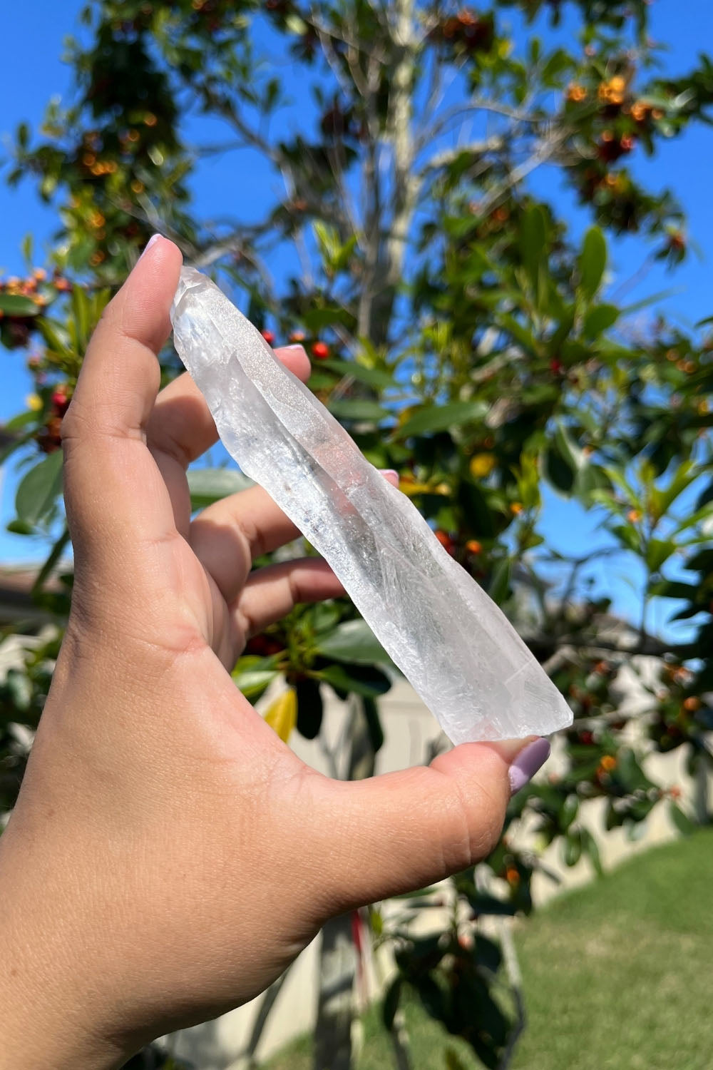 Natural Lemurian Seed Quartz Crystal Point #3