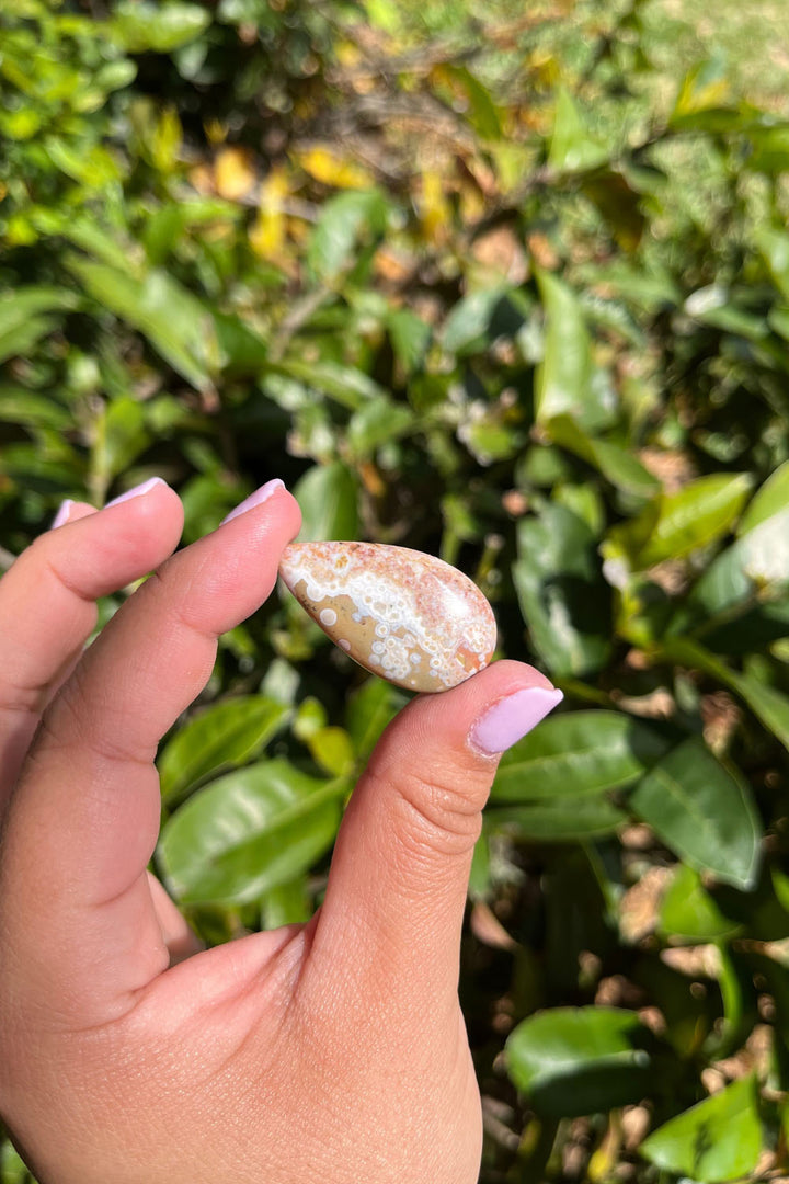 Ocean Jasper Cabochon