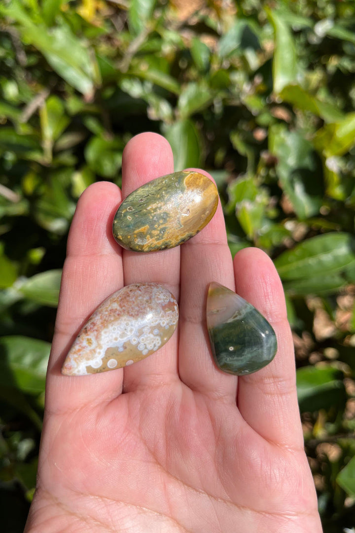 Ocean Jasper Cabochon