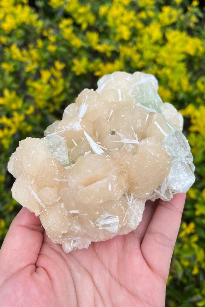 Peach Stilbite Apophyllite Crystal Cluster #1