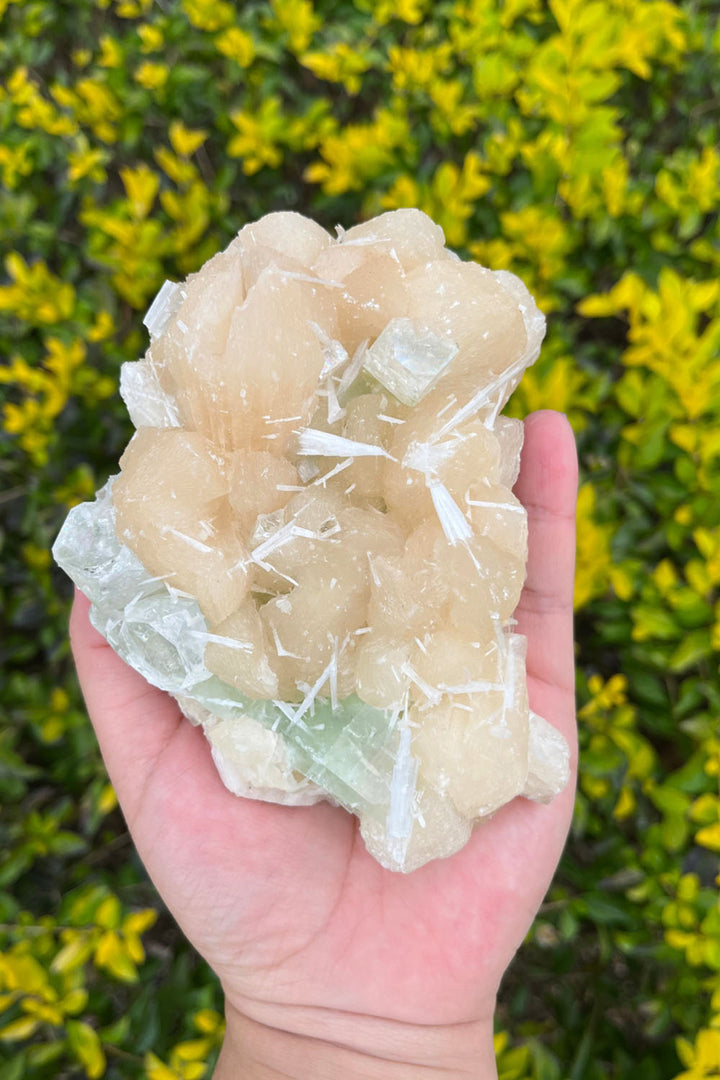 Peach Stilbite Apophyllite Crystal Cluster #1
