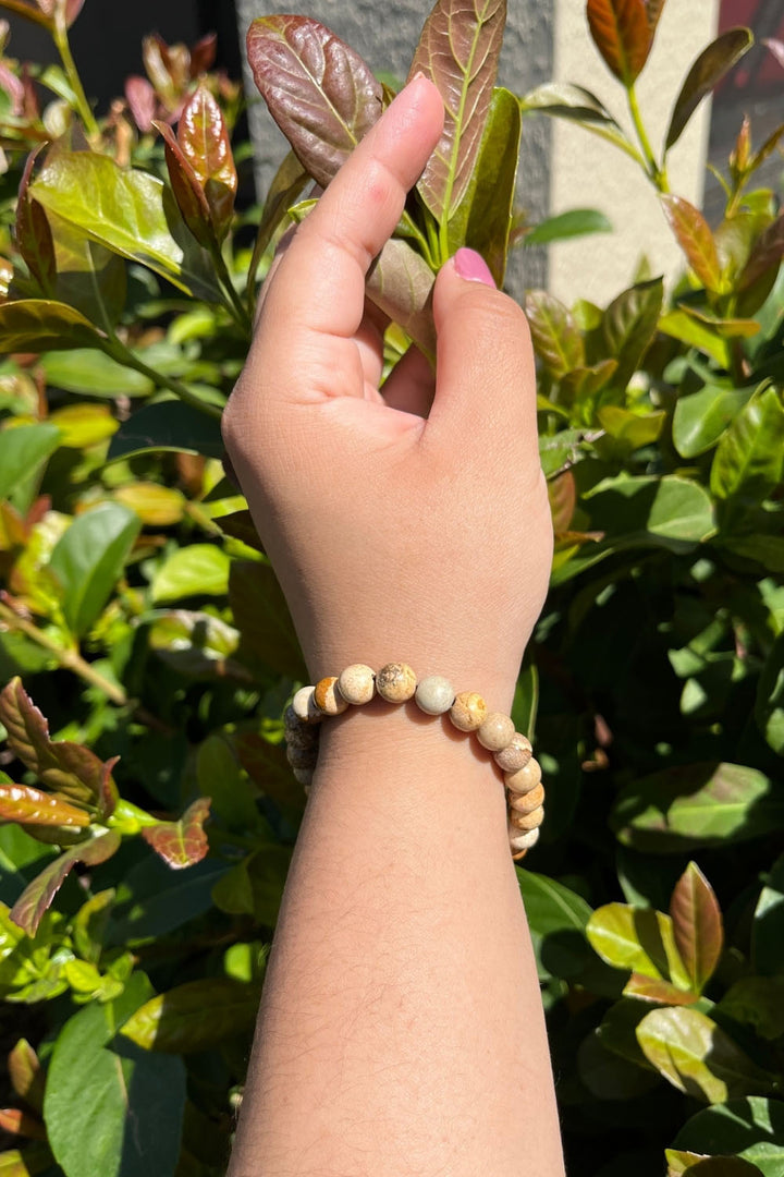 Sivalya Picture Jasper Gemstone Beaded Bracelet