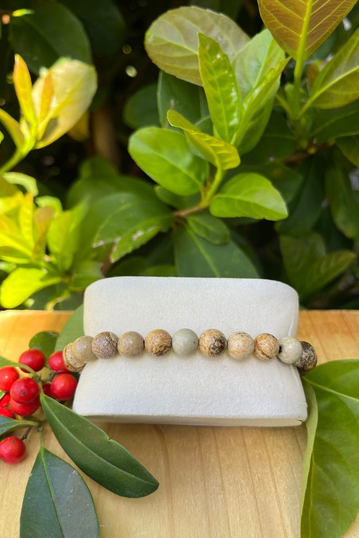 Sivalya Picture Jasper Gemstone Beaded Bracelet