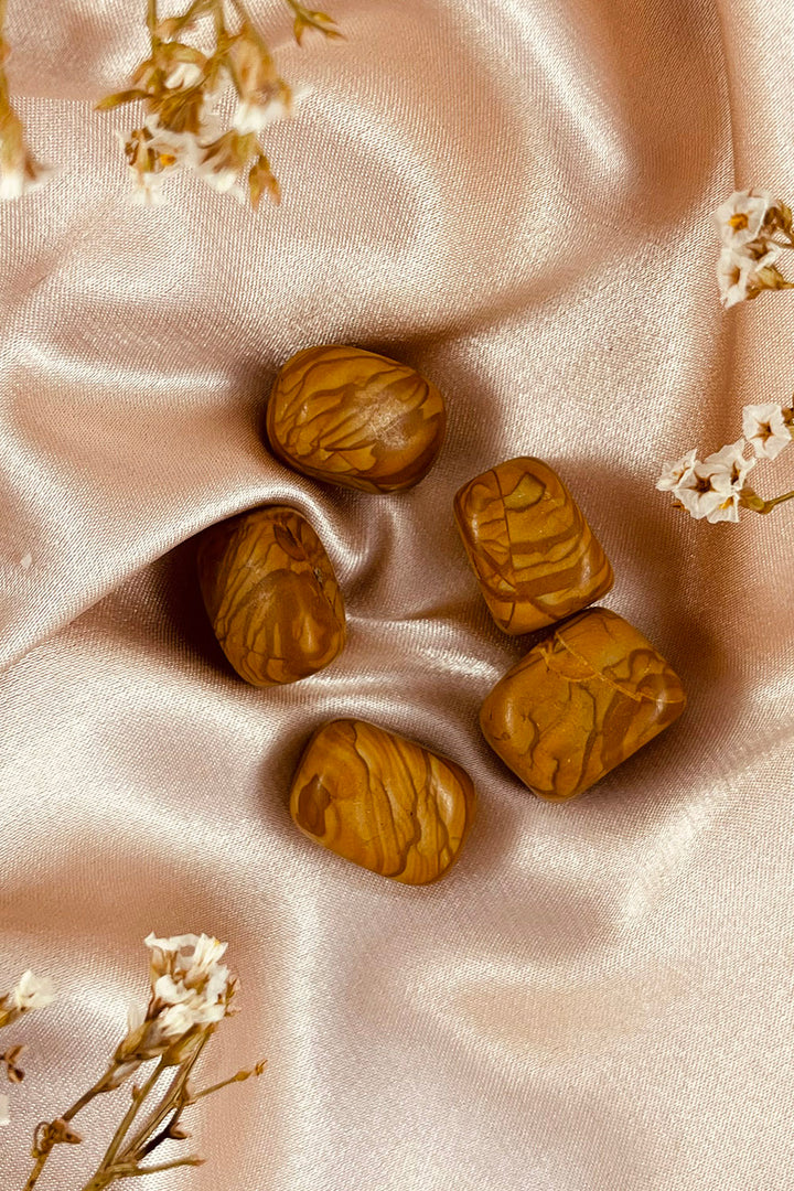 Picture Jasper Tumbles