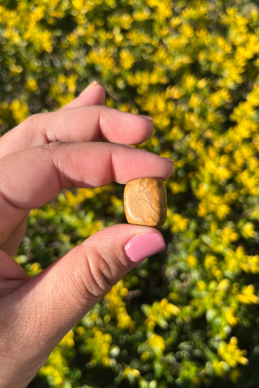 Picture Jasper Tumbles