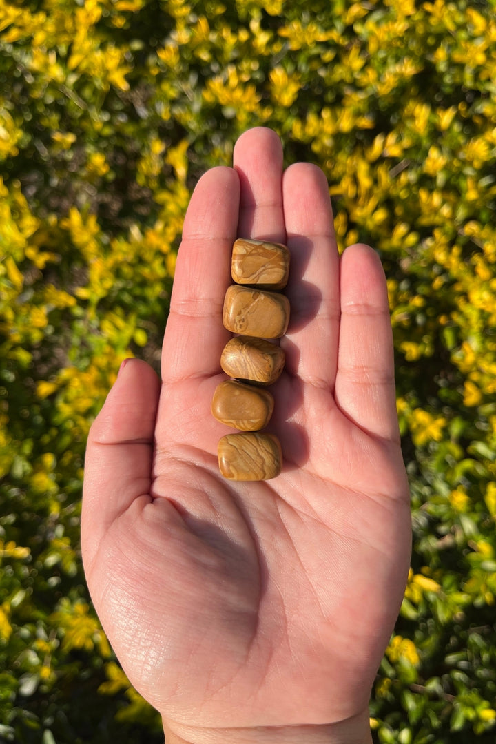 Picture Jasper Tumbles