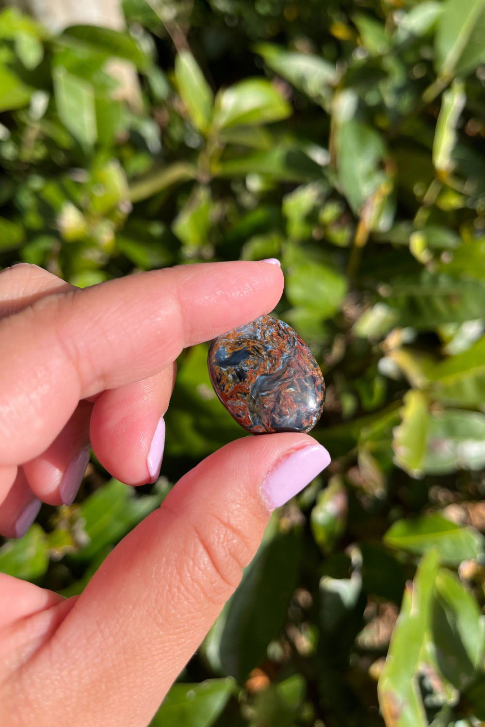 Pietersite Cabochon
