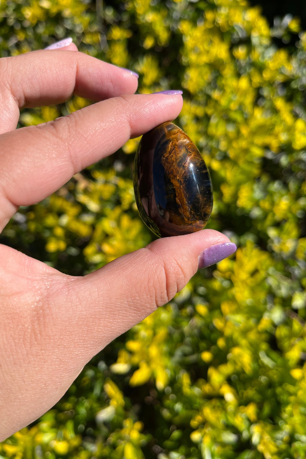 Pietersite Egg #1 Rare Find