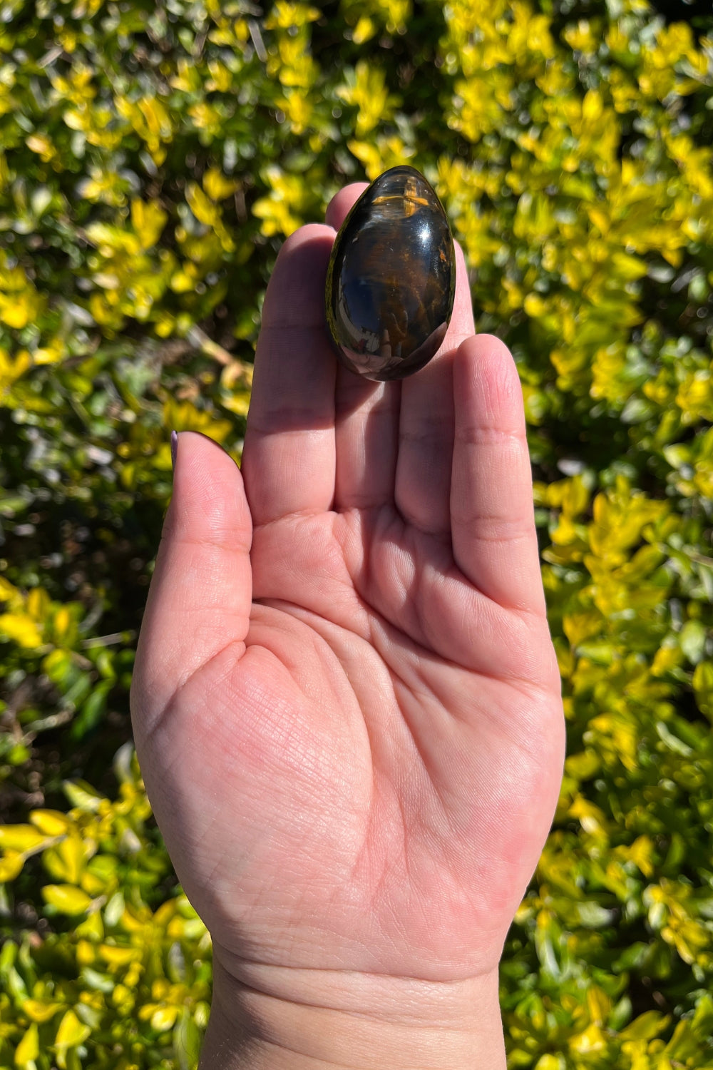Pietersite Egg #1 Rare Find