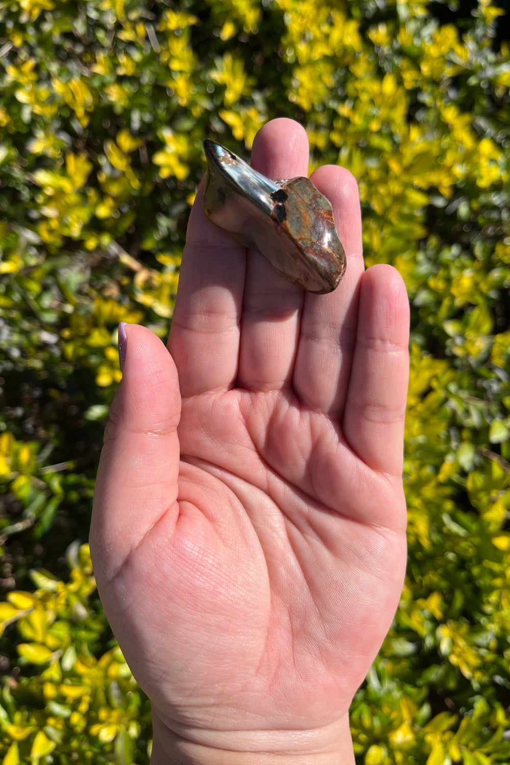 Pietersite Freeform #2