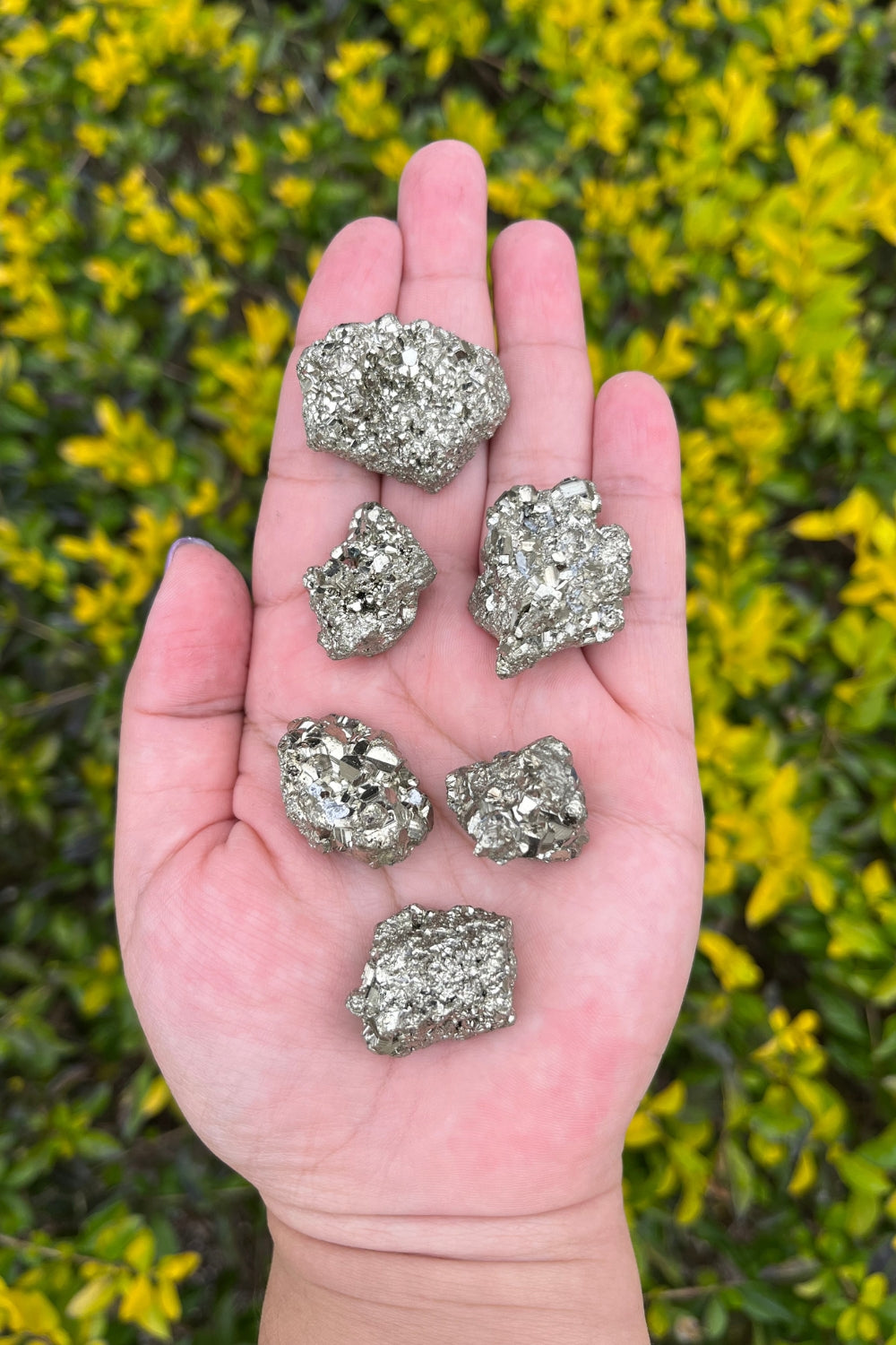Pyrite and Quartz Crystal Cluster in Matrix #2