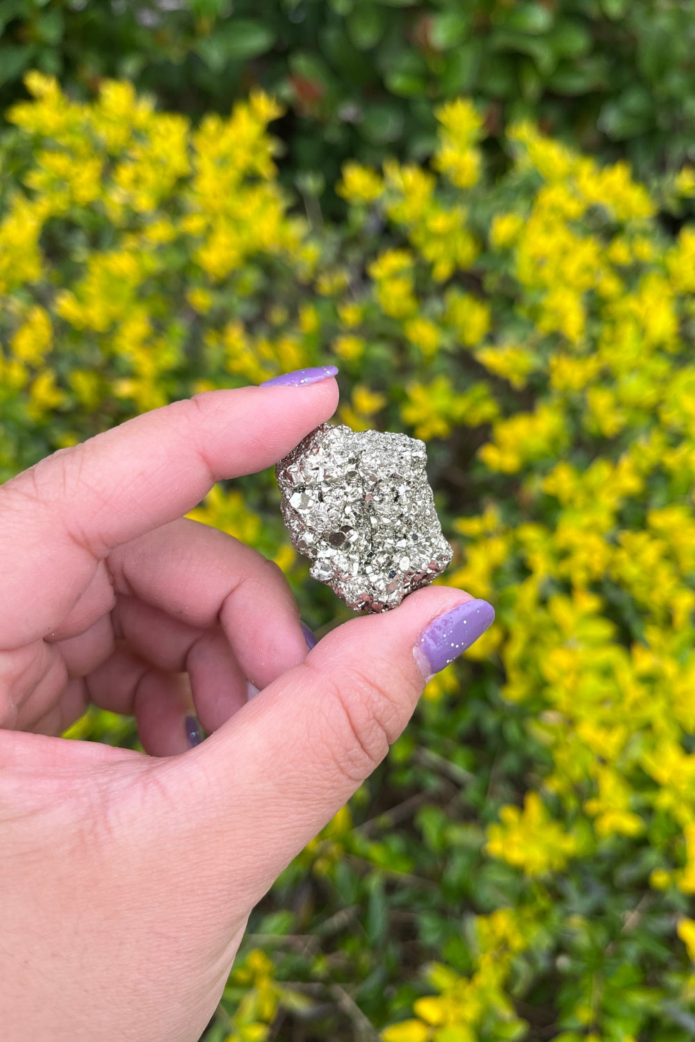 Pyrite and Quartz Crystal Cluster in Matrix #2