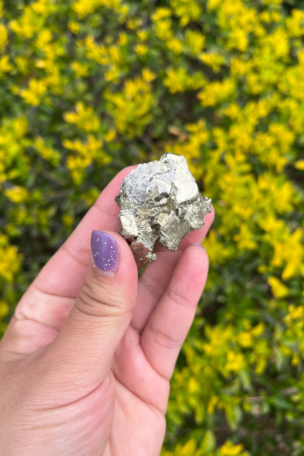 Pyrite and Quartz Crystal Cluster in Matrix #3