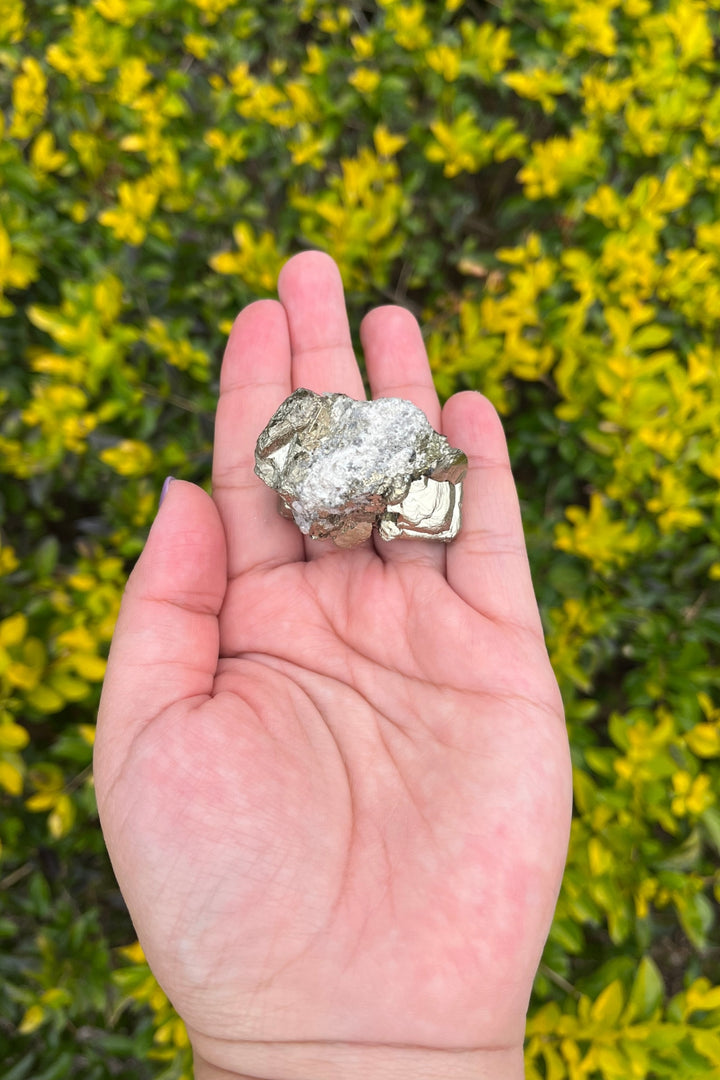 Pyrite and Quartz Crystal Cluster in Matrix #3