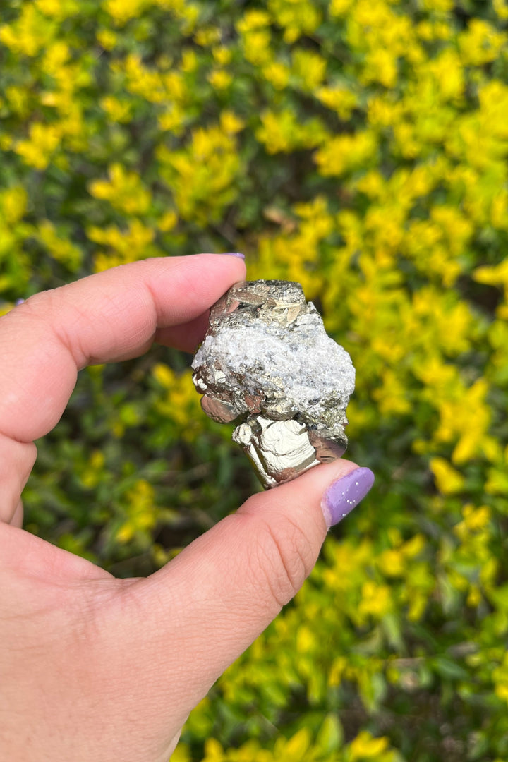 Pyrite and Quartz Crystal Cluster in Matrix #3