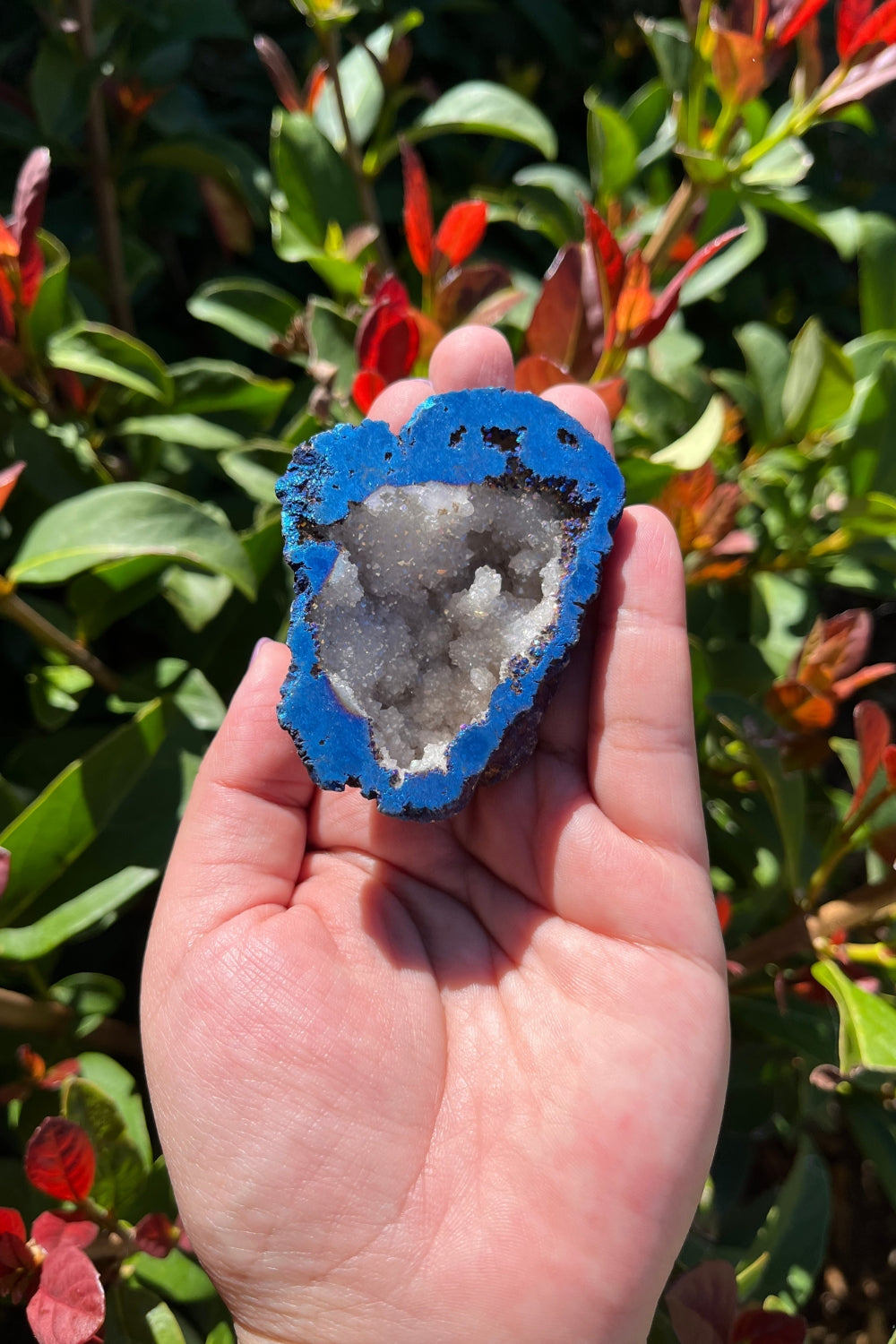 Titanium Rainbow Aura Druzy Quartz Geode #1