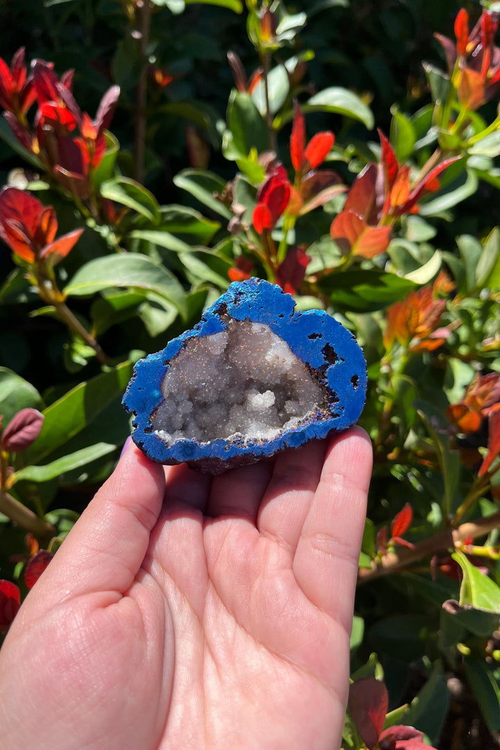Titanium Rainbow Aura Druzy Quartz Geode #1