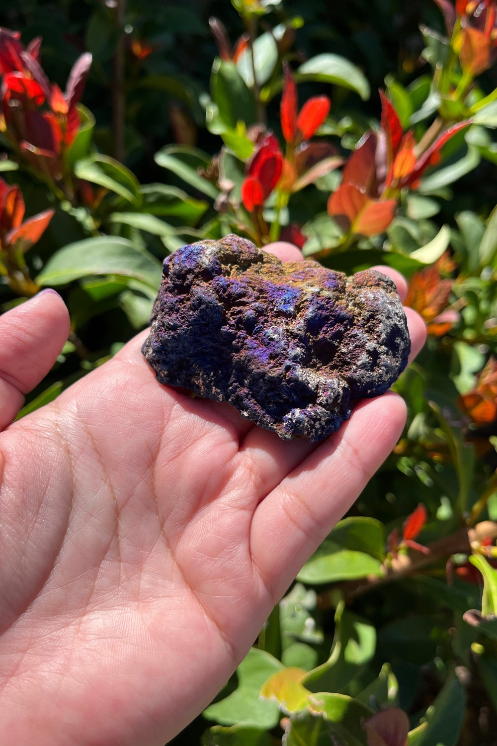 Titanium Rainbow Aura Druzy Quartz Geode #1