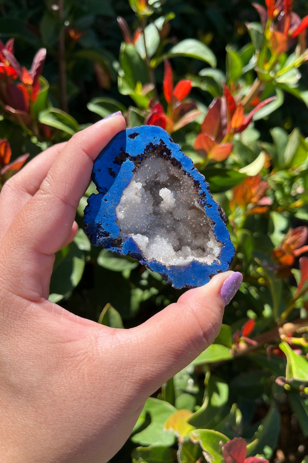 Titanium Rainbow Aura Druzy Quartz Geode #1