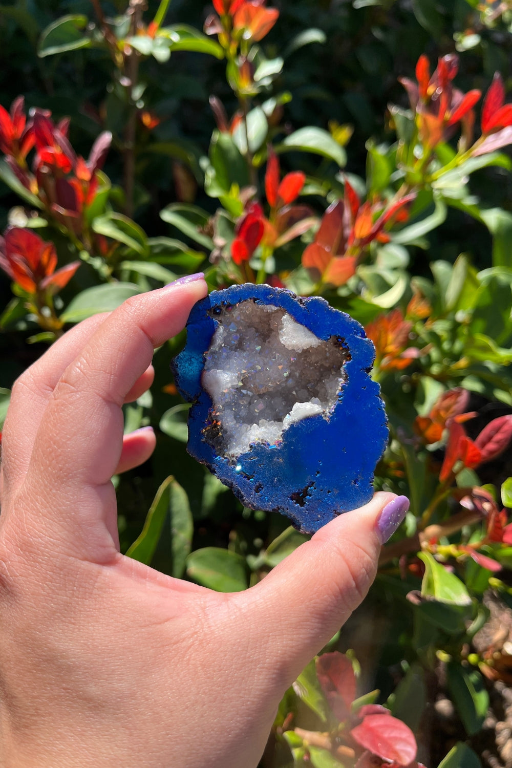 Titanium Rainbow Aura Druzy Quartz Geode #2