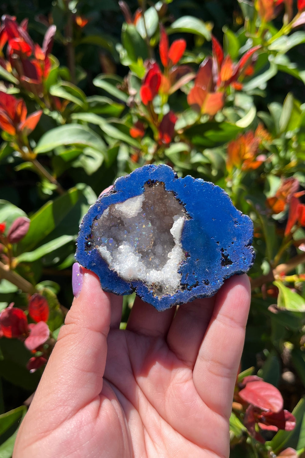 Titanium Rainbow Aura Druzy Quartz Geode #2