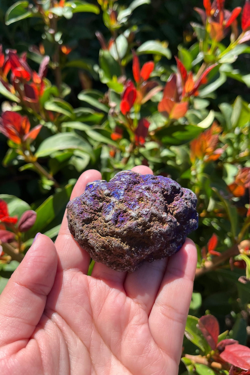 Titanium Rainbow Aura Druzy Quartz Geode #2