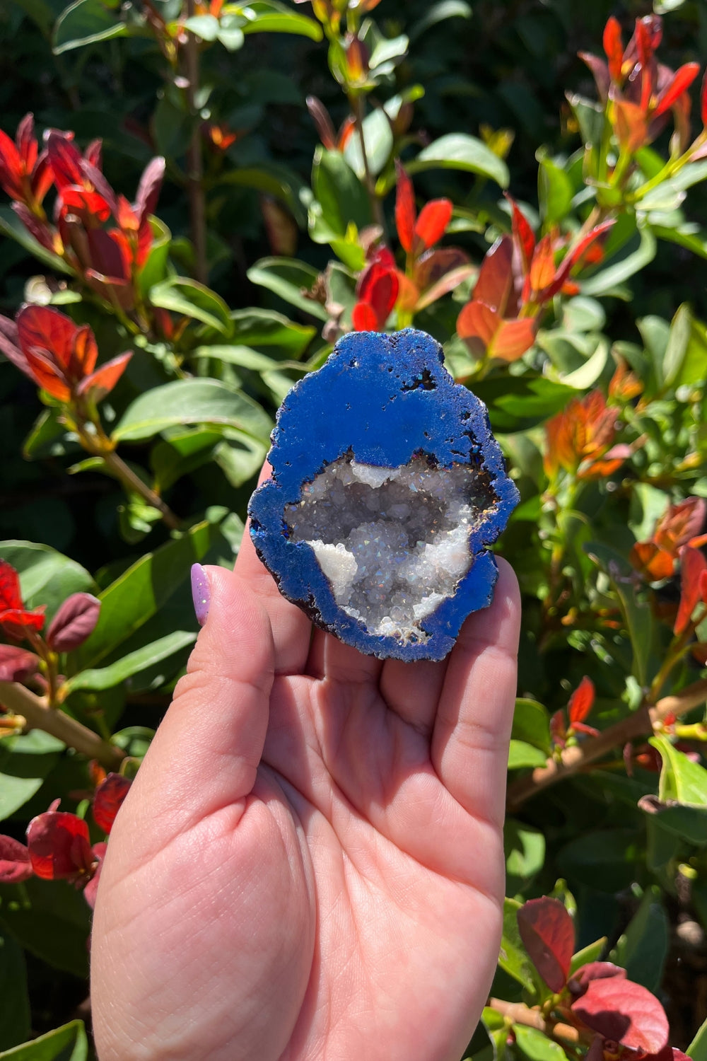 Titanium Rainbow Aura Druzy Quartz Geode #2