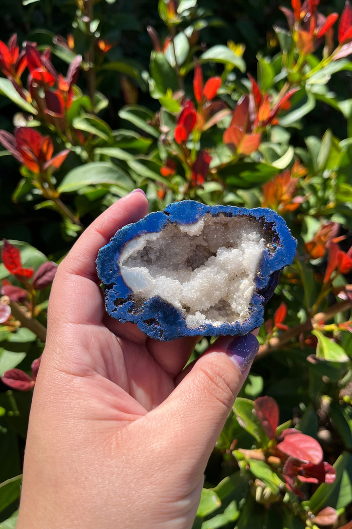 Titanium Rainbow Aura Druzy Quartz Geode #3