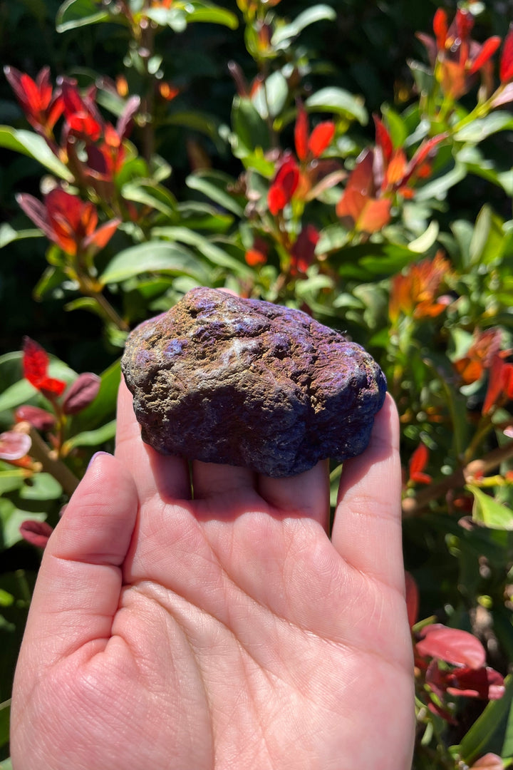 Titanium Rainbow Aura Druzy Quartz Geode #3