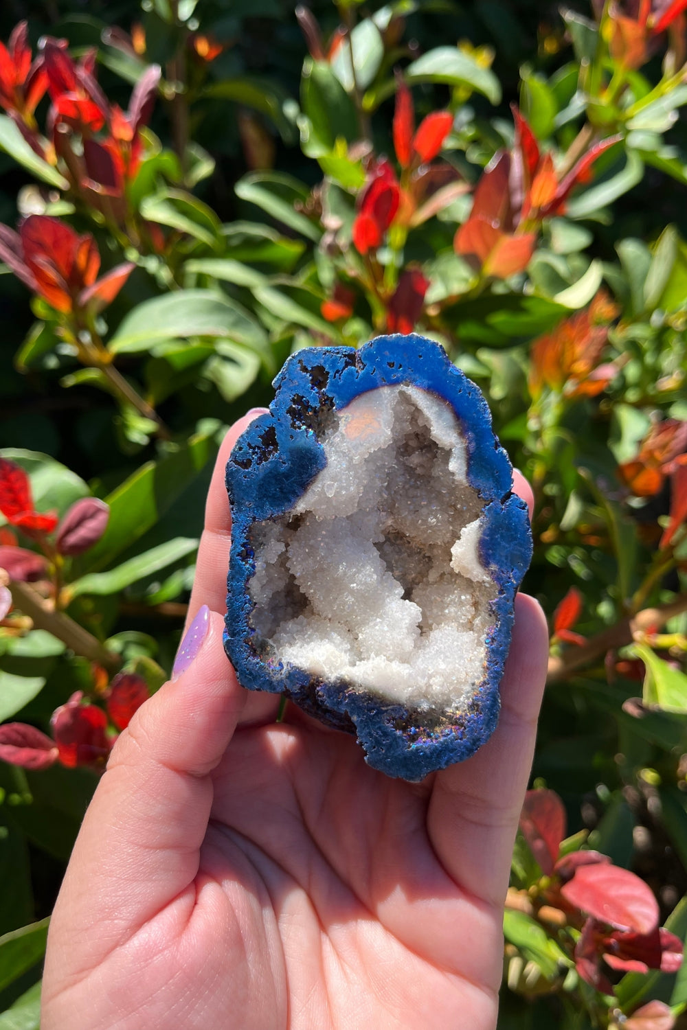 Titanium Rainbow Aura Druzy Quartz Geode #3