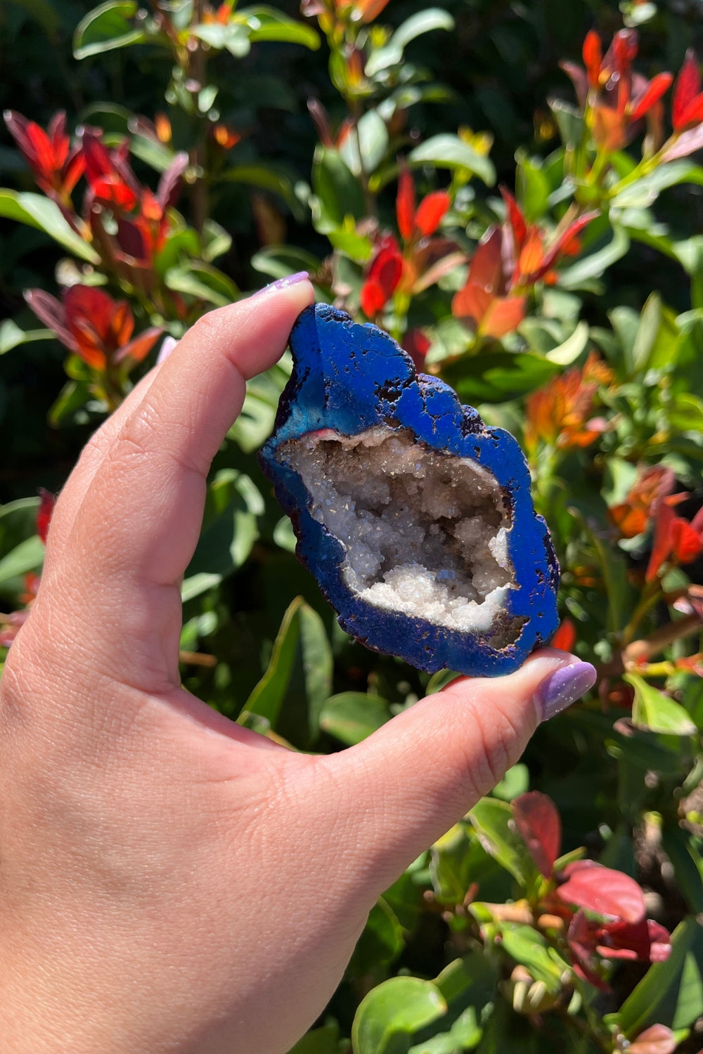 Titanium Rainbow Aura Druzy Quartz Geode #4