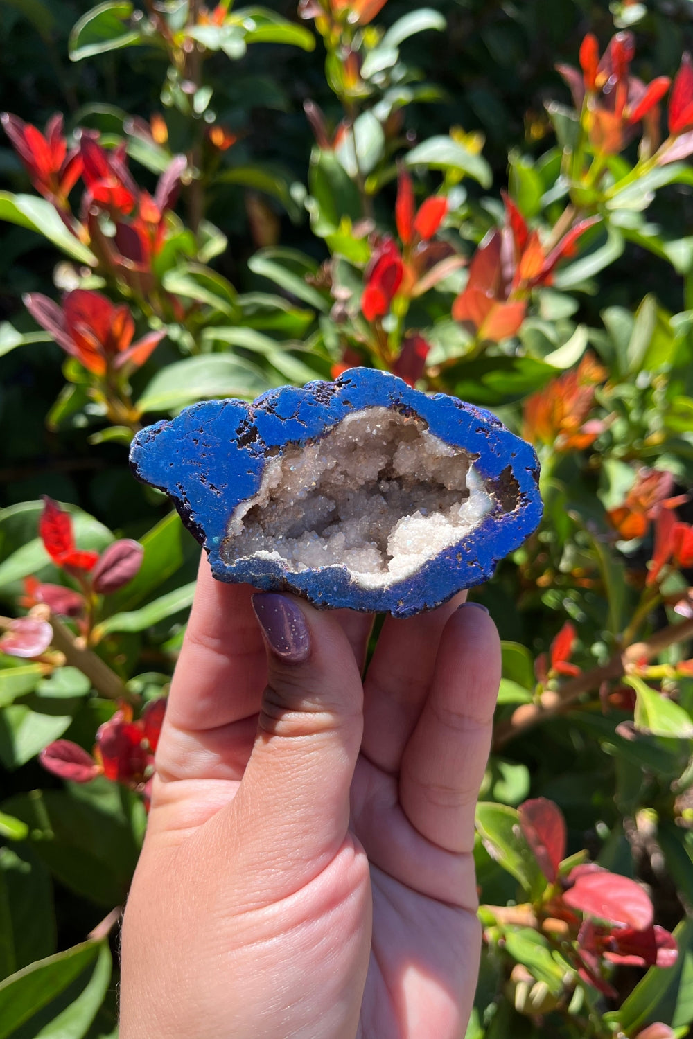 Titanium Rainbow Aura Druzy Quartz Geode #4