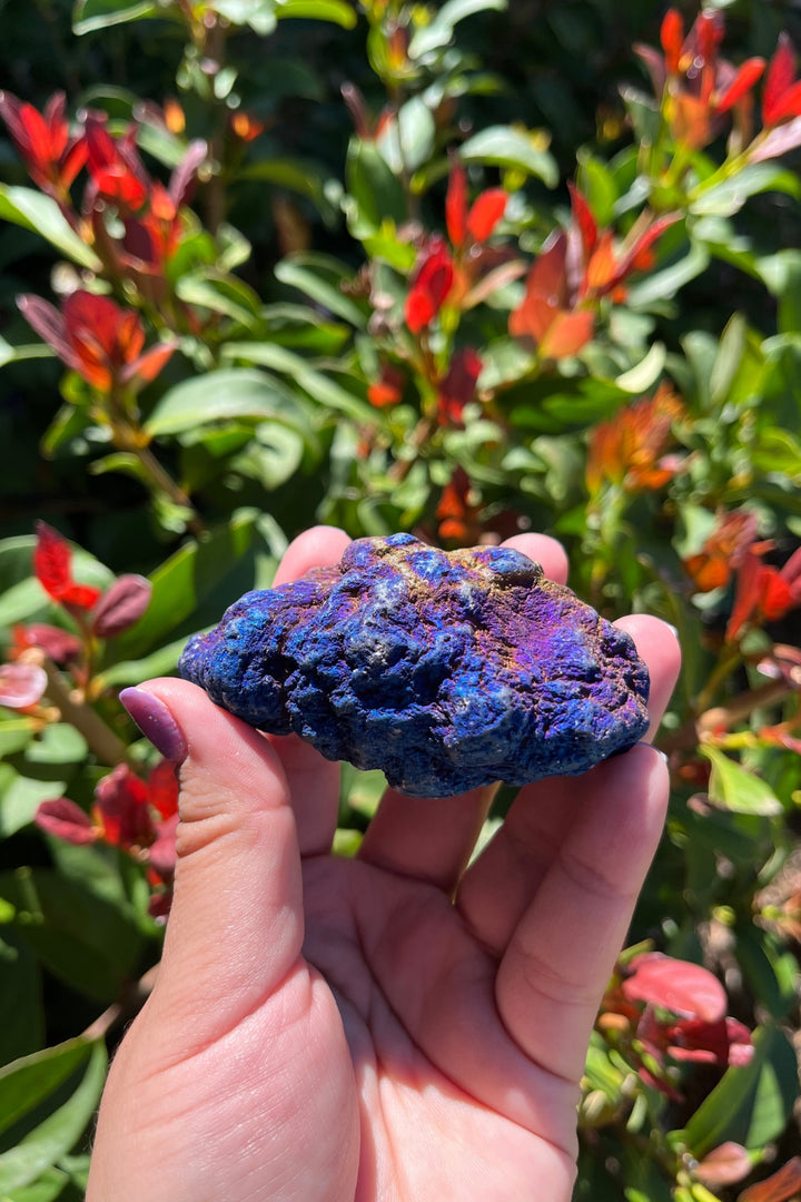 Titanium Rainbow Aura Druzy Quartz Geode #4