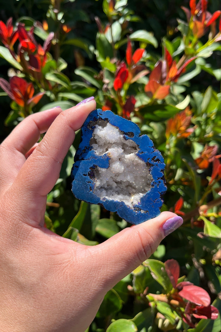 Titanium Rainbow Aura Druzy Quartz Geode #5