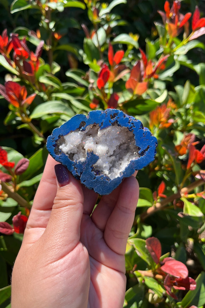 Titanium Rainbow Aura Druzy Quartz Geode #5