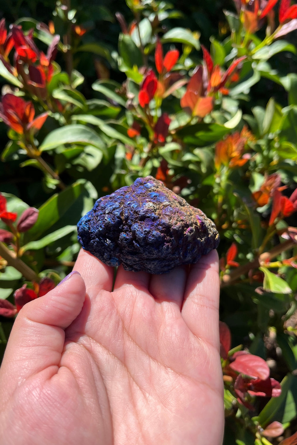 Titanium Rainbow Aura Druzy Quartz Geode #5