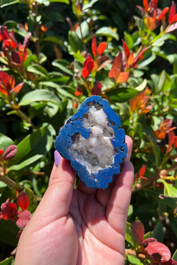 Titanium Rainbow Aura Druzy Quartz Geode #5
