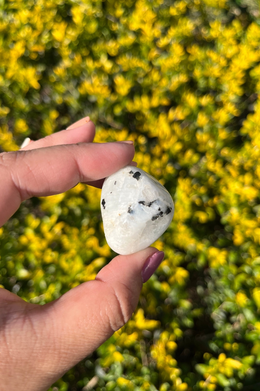Moonstone Tourmaline Tumbles